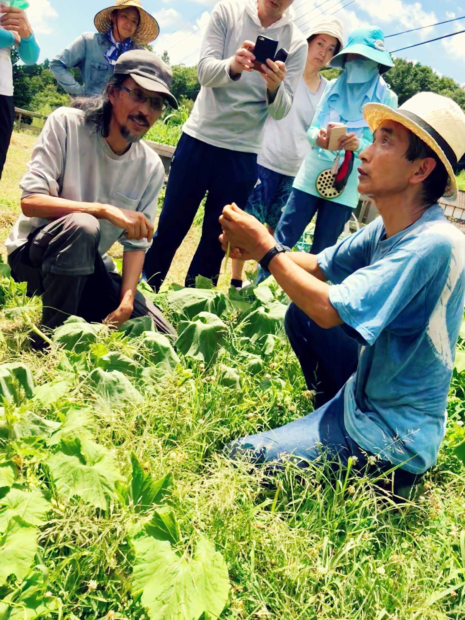 巨人の肩に乗る - 重ね煮とわらの暮らし
